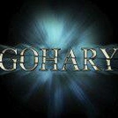 Ahmed EL Gohary
