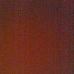 user483329091