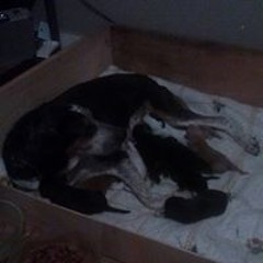 Jason Jennifer Rosler