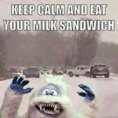 Rebecca Wood Polhamus