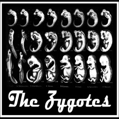 The Zygotes