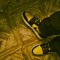 amula_that_guy