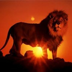 $$$ #$44$HARD$CORE$$$ $$$