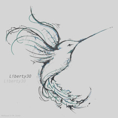 Liberty30