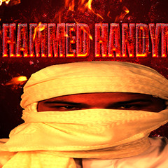 Mohammed HandyMan