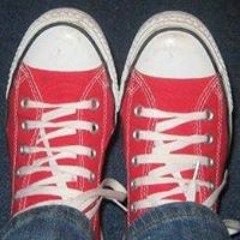 Diane Johnson Was Fellows