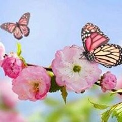 Dayhana J. Martinez Perez