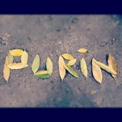 Pupurin Ỉn