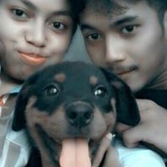 Hendy Abisatya Wibawa