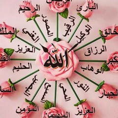 user729312355