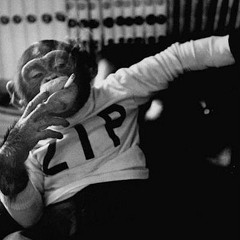raps