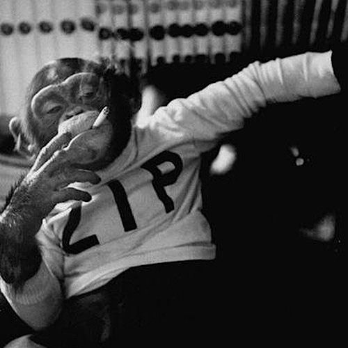 raps