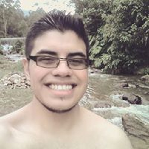 Juan Camilo Perez Lasso’s avatar