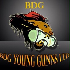 BDGYOUNGGUNNS Ltd