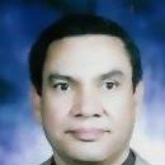 hassan alkhouli