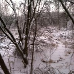 Bethany Kline-Sleight