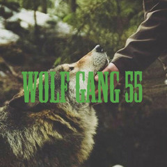 Wolf Gang 55