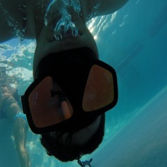 SwankViguerass