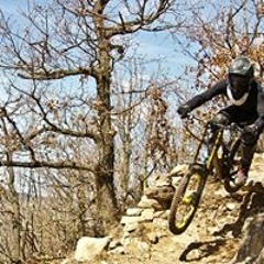 Bernhard Alexander Juchum