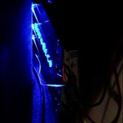 Gavan Basshead Matthews