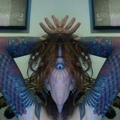 sylverstar