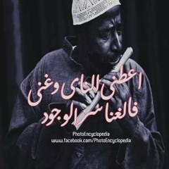 Taha El_hosseny