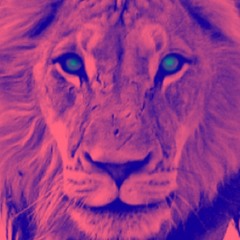 so_safo