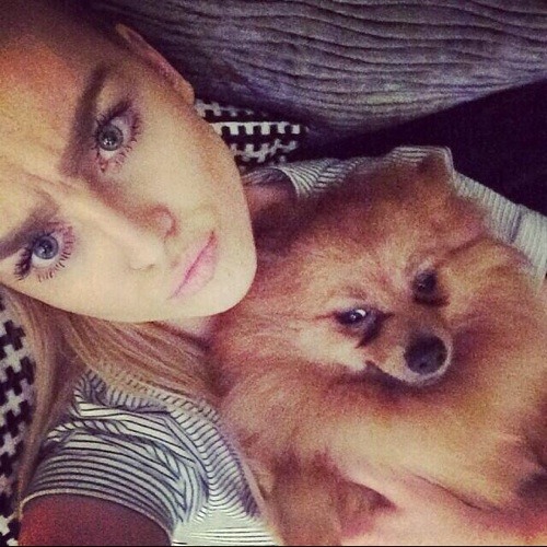 Perrie1Edwards’s avatar