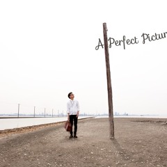 A Perfect Picture Records
