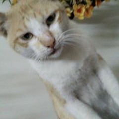 Hà Bùi 3