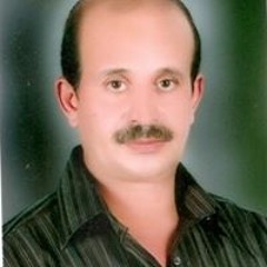 Hesham Moh