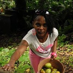 Mickaëlle Pavilla