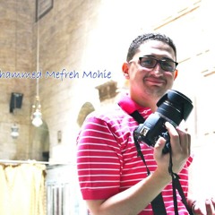 Mohammed M. Mohie