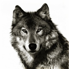 Werewolf Boy