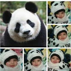 RouDi A. Abd ELrazek