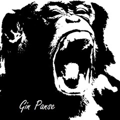 Gin Panse