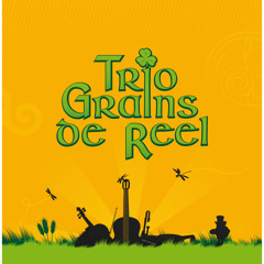 Trio Grains de Reel