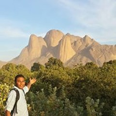 Mohammed Abdelaziz Hamad