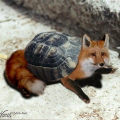 Dj Turtle FoX