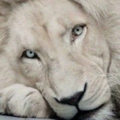 El Bar FNewworldorder