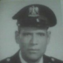 gamalabdelnasser