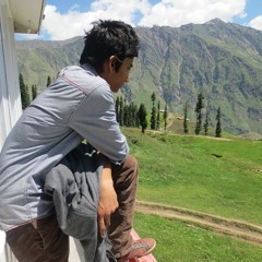 Awais_Shah