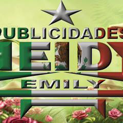 Publicidades Heidy