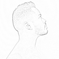 the_silly_v
