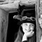 Kathy Shanteler