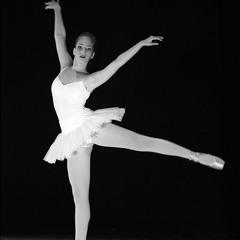 tal fridenberg
