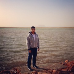 Ahmed Yehia Mohamed 1