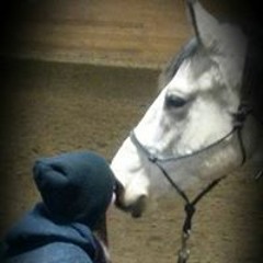 Mandy Leigh Reichelt