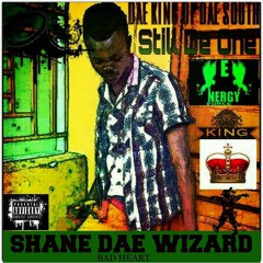 Shane Dae Wizard
