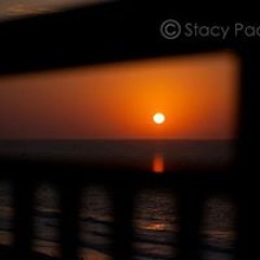 Stacy Cleveland Pacholek
